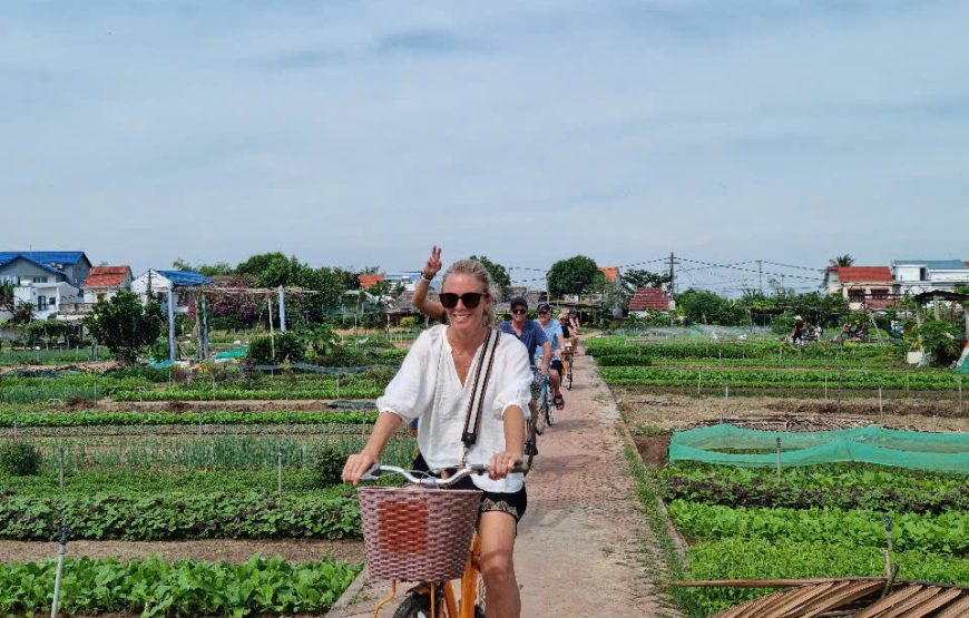 Northern And Central Vietnam 8-Day Charm Tour