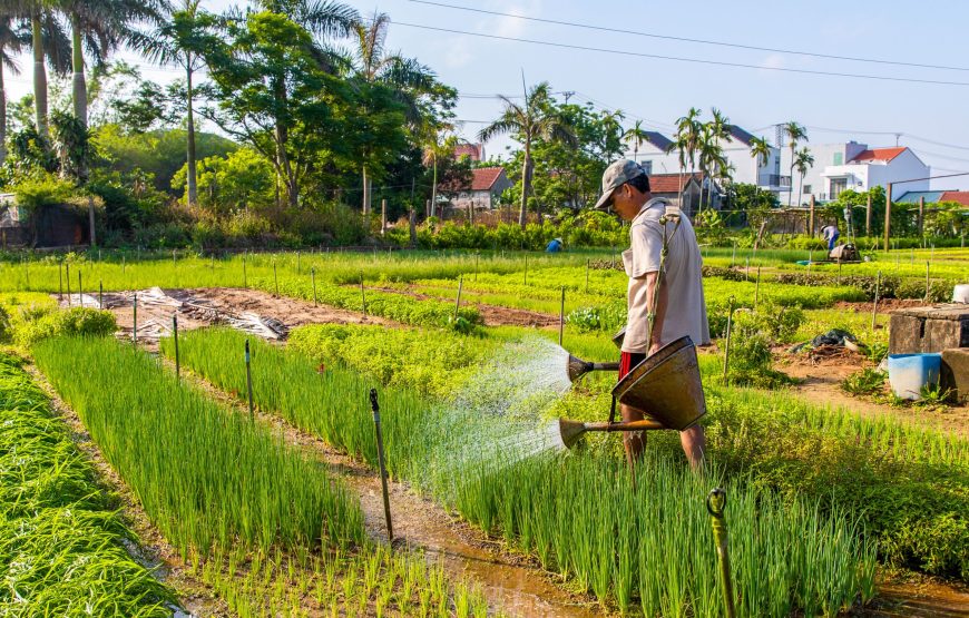 Northern And Central Vietnam 8-Day Charm Tour