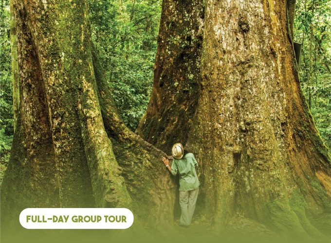 Full-day Cuc Phuong National Park Eco-adventure