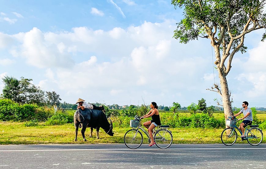 Private tour: Half-day Exploring Local Life Including Cycling And Boat Trip From Hoi An