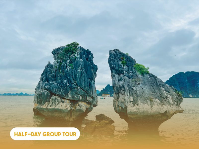Half-day Ha Long Bay Dream Cruise