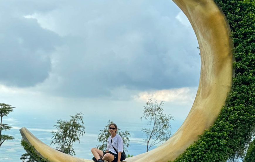 Full-day Cao Dai Temple And Black Lady Mountain From Ho Chi Minh City