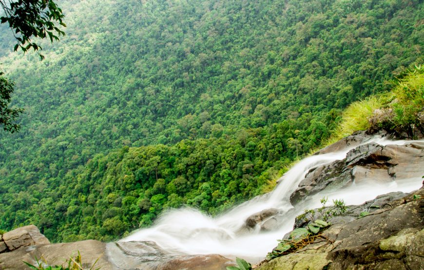 Private tour: Full-day Bach Ma National Park Trekking Tour From Da Nang