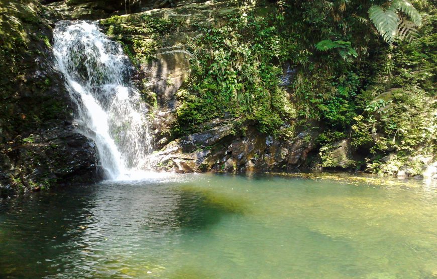 Private tour: Full-day Bach Ma National Park Trekking Tour From Da Nang