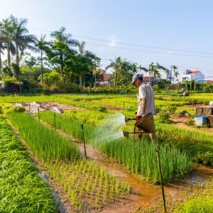 10 Days In Vietnam From South To North