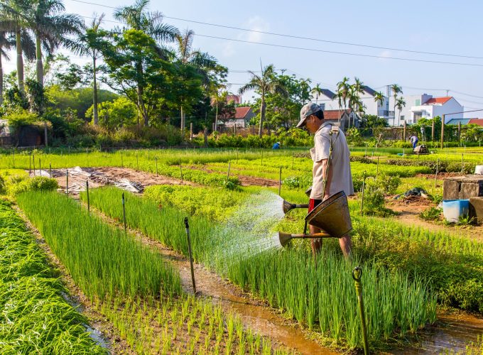 Vietnam 10 – Day South-To-North Cultural Odyssey – First Saturday Special – Extra 25% Off