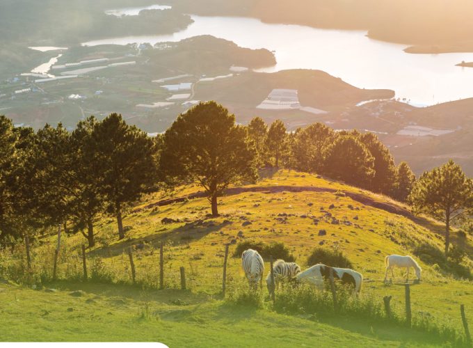 Private tour: Full-day Adventurous Day In Da Lat’s Nature