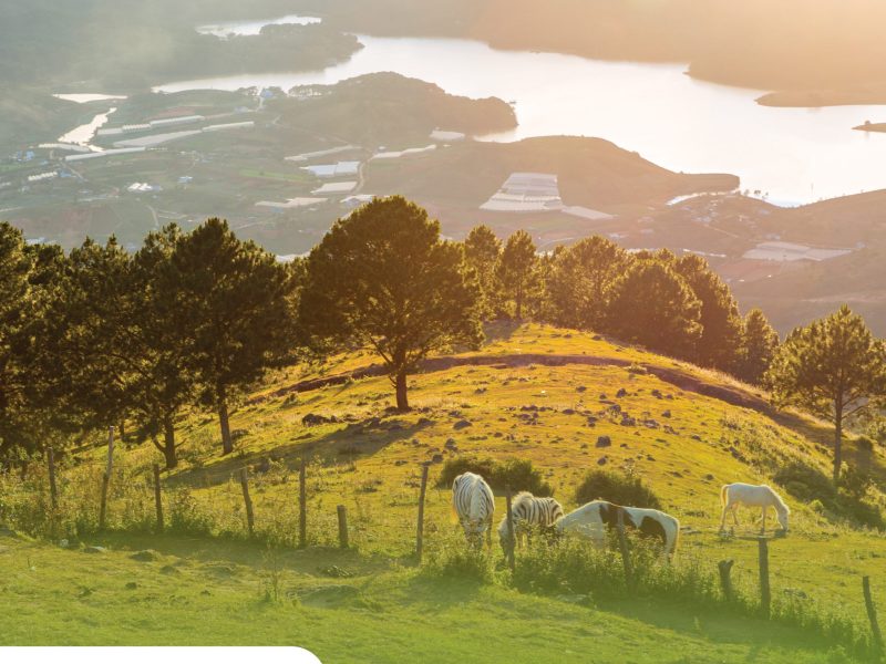 Private tour: Full-day Adventurous Day In Da Lat’s Nature