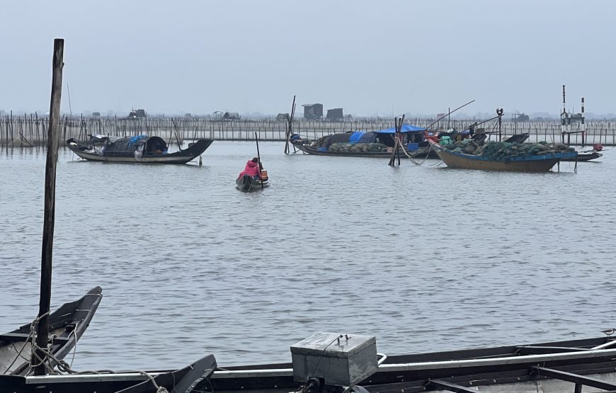 Private tour: Half-day Tam Giang Lagoon From Hue City