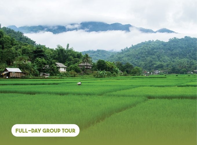 Full-day Authentic Mai Chau Experience