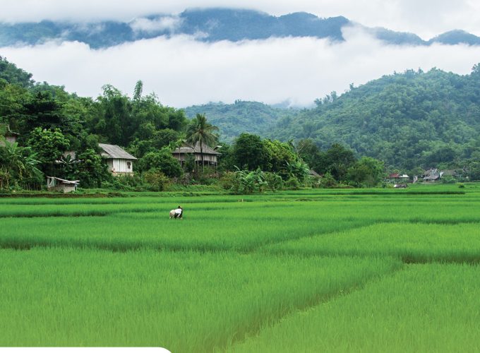 Private tour: Full-day Authentic Mai Chau Experience