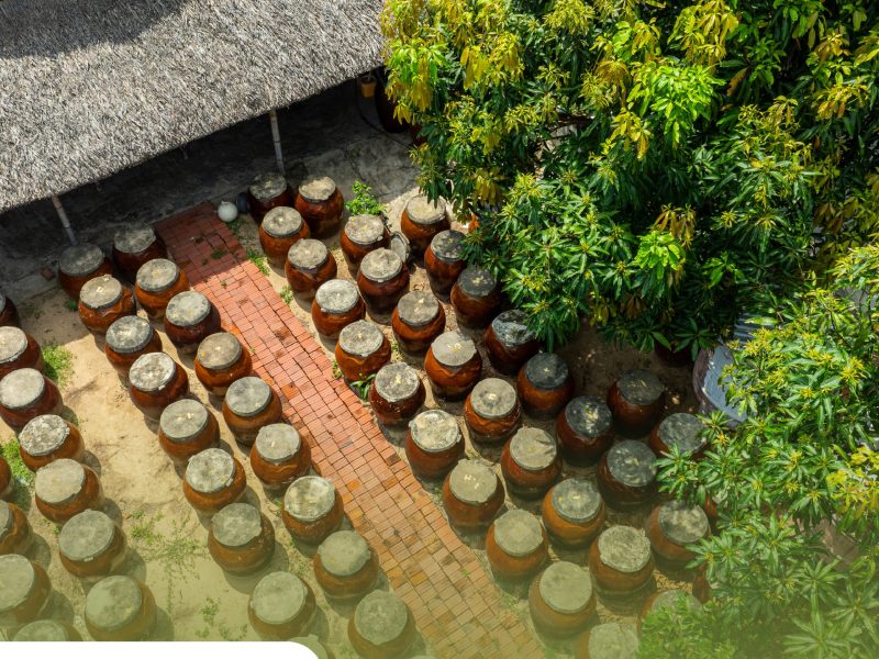 Private tour: Full-day Cultural Cruise Discovering Hoi An’s Treasures And Rhum Production