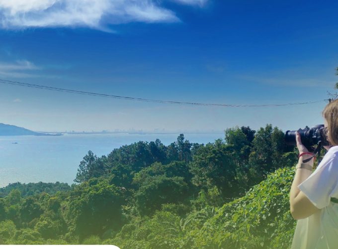 Private tour: Full-day Hai Van Pass And Lang Co Beach Scenic Discovery