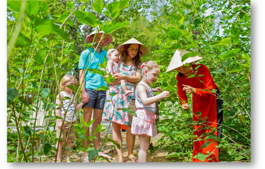 Half-day Silk Cloth Producing Process Discovery Tour From Hoi An