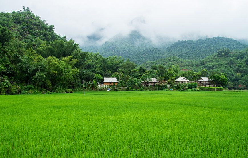 Two-day Mai Chau Tour And Homestay From Ha Noi