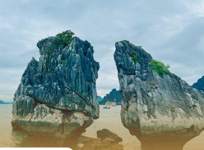 Private tour: Half-day Ha Long Bay Dream Cruise