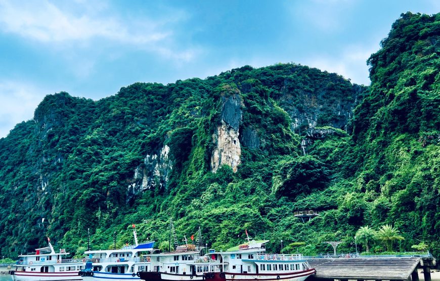 Private tour: Half-day Glamours Of Ha Long Bay From Ha Long