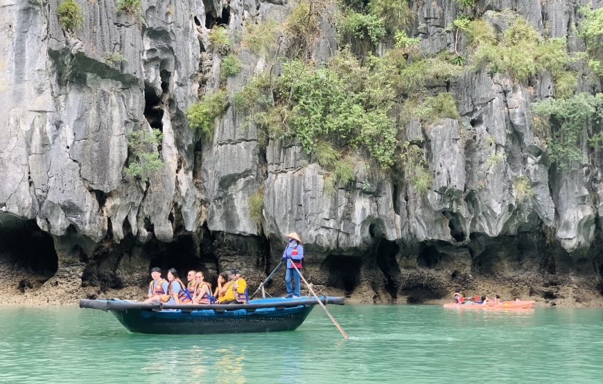 Private tour: Half-day Glamours Of Ha Long Bay From Ha Long