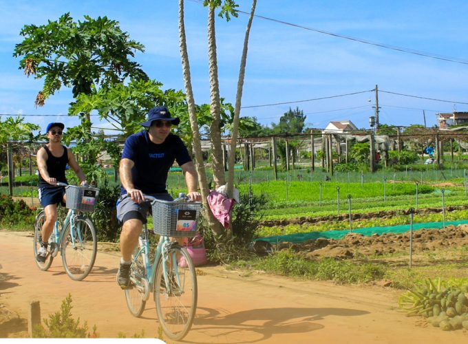 Private tour: Half-day Farm To Table Adventure In Tra Que Village