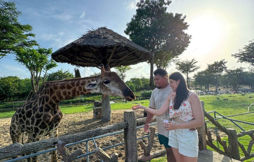 River Safari With Candle-lit Beach Dinner From Hoi An