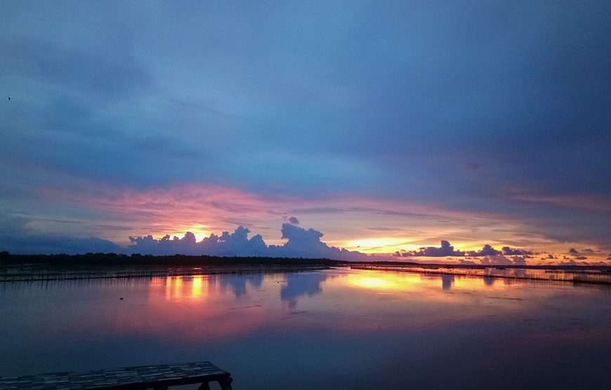 Half-day Tam Giang Lagoon From Hue City