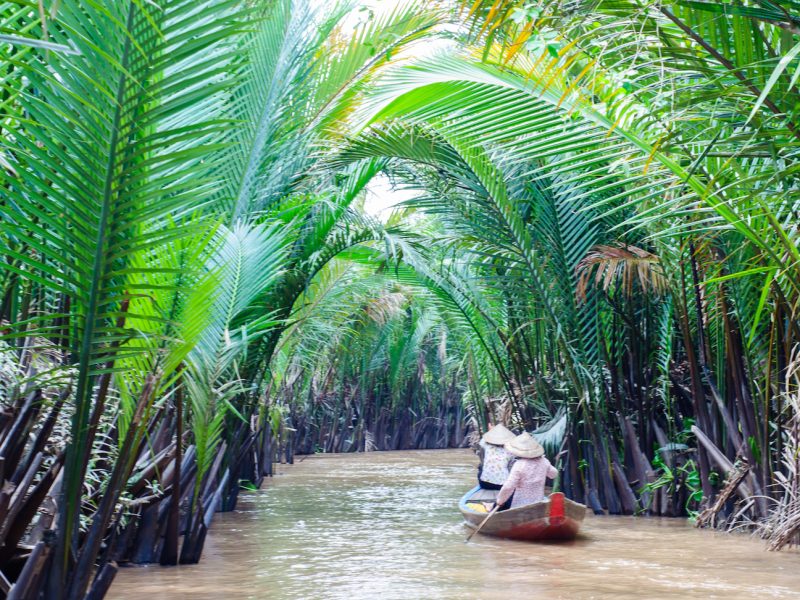 Private tour: Mekong Delta Flavors And River Adventure