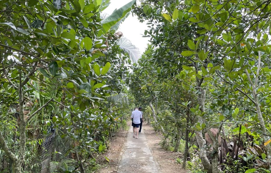 Full-day Mekong Delta My Tho & Ben Tre Coconut Village From Ho Chi Minh City