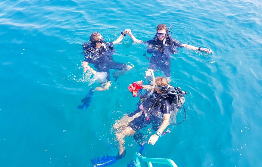 Scuba Diving – In The North Phu Quoc