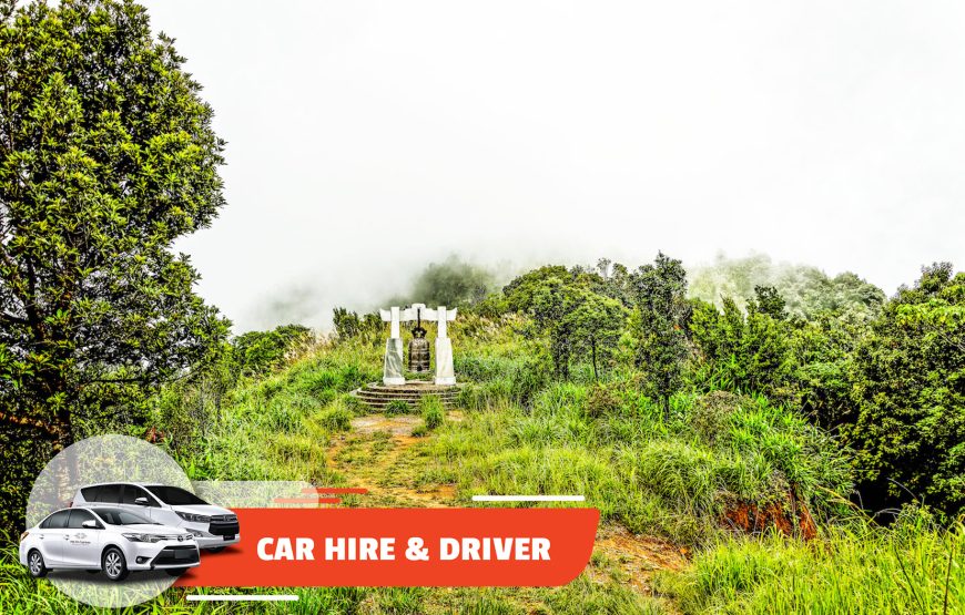 Car Hire & Driver: Da Nang Center – Bach Ma (Full-day)