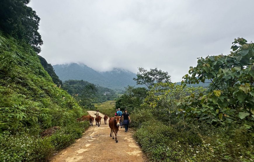 Vietnam Off The Beaten Path Family Adventure