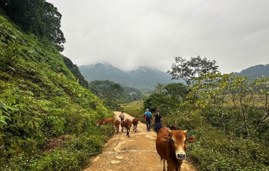 Vietnam Off The Beaten Path Family Adventure