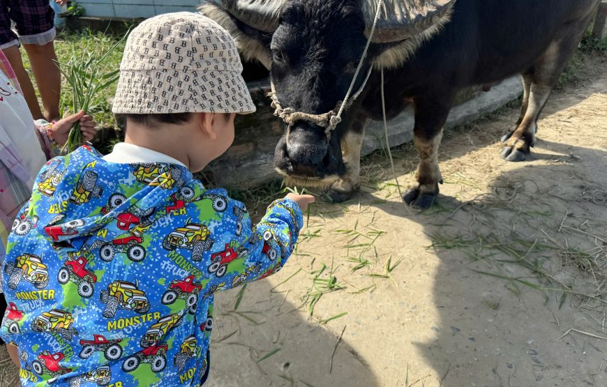 Vietnam Off-The-Beaten-Path 15 – Day Family Adventure Tour