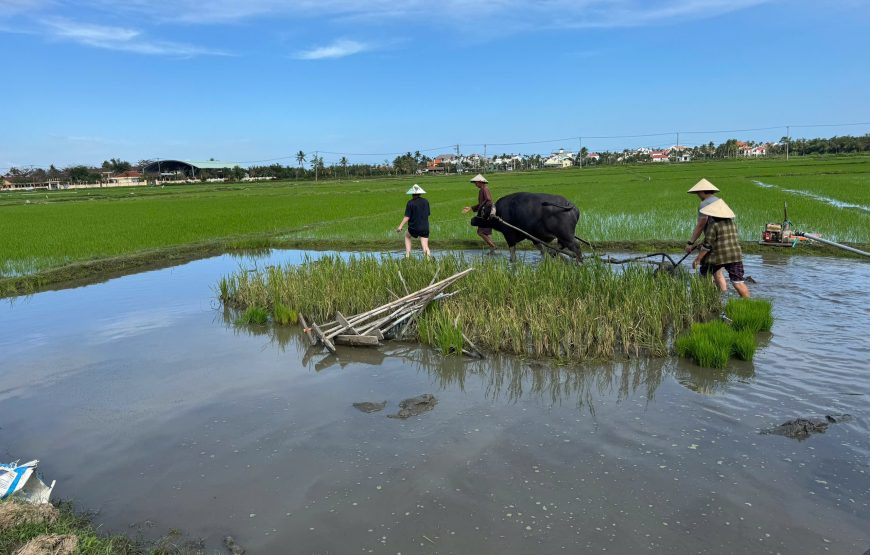 Vietnam Off-The-Beaten-Path 15 – Day Family Adventure Tour