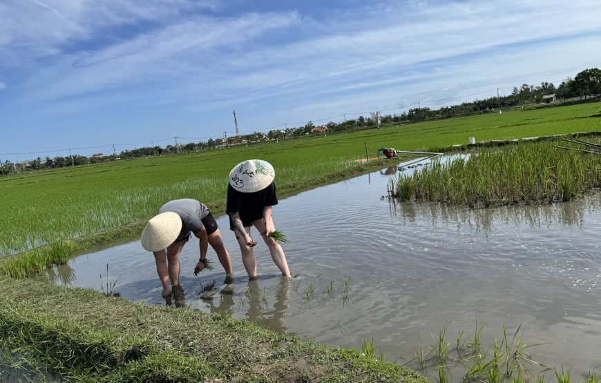 Vietnam Off-The-Beaten-Path 15 – Day Family Adventure Tour